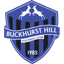 Buckhurst Hill crest