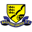 Basford United crest