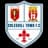 Coleshill Town crest