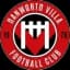 Hanworth Villa crest