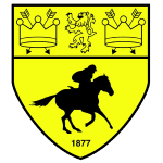 Newmarket Town crest