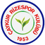 Rizespor crest