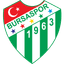 Bursaspor crest