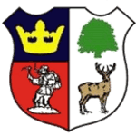 Cinderford Town crest