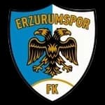 Erzurumspor FK crest