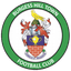 Burgess Hill Town crest