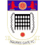 Squires Gate crest