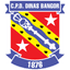 Bangor City crest