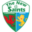 The New Saints crest