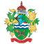 Chertsey Town crest