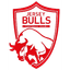 Jersey Bulls crest