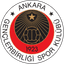 Gençlerbirliği crest