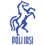 CSM Iaşi crest