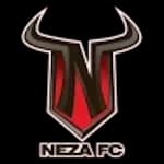 Toros Neza UTN crest