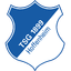 TSG Hoffenheim crest