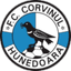 Corvinul Hunedoara crest