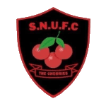 Sturminster Newton Utd crest